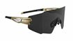 Picture of FORCE MANTRA gold, photochromic lens